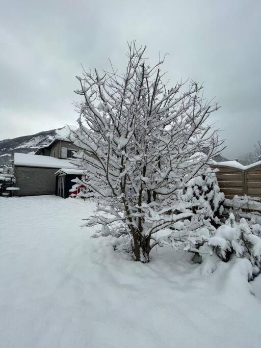 Bel Appartement Dans Residence Cheminee /Jardin Luz-Saint-Sauveur Exterior foto